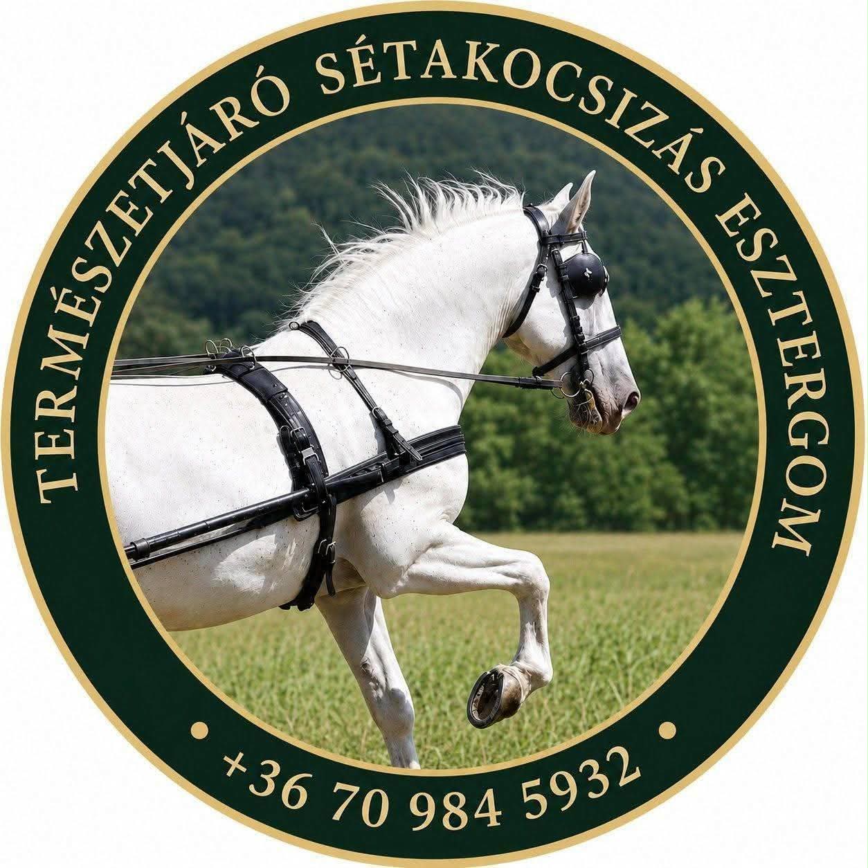 Természetjáró sétakocsikázás Esztergomban logó